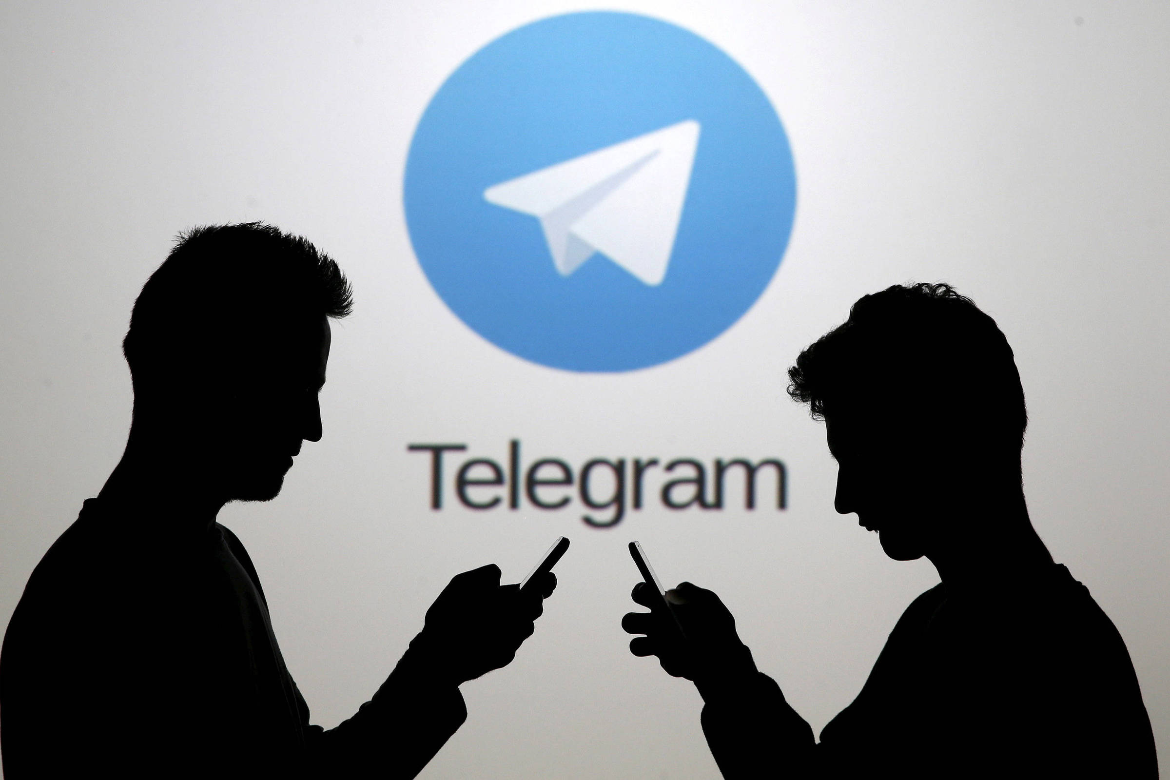 Grupo Telegram Zona Proibida